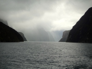 You truly feel the sheer power of nature while cruising through the fiords as they rise steeply on either side of the slowly shrinking boat